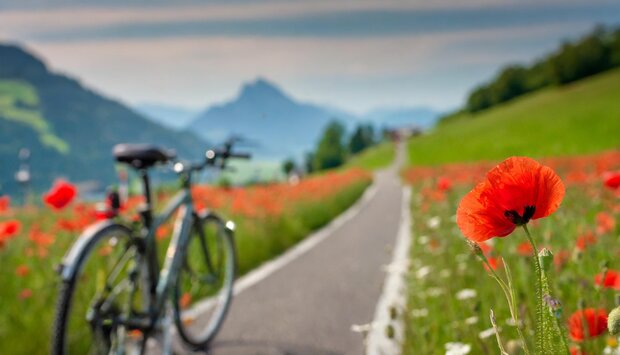 Radweg Musterhausen Ein Fahrrad auf einem schmalen asphaltiertem Radweg; seitlich Sommerwiese mit Mohnblumen; im Hintergrund Berge